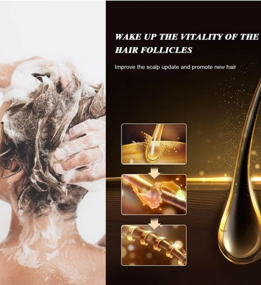 Argan Oil Shampoo Herbal Extract Moisturizing Deep Repair Smooth Shampoo for Dry and Damaged Hair